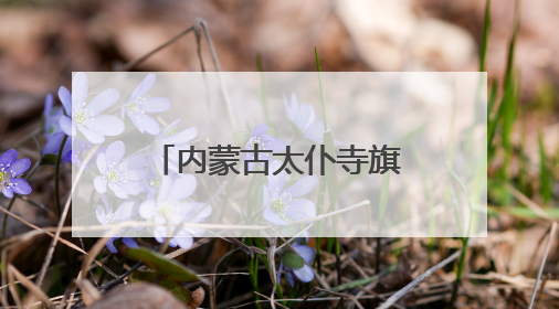 内蒙古太仆寺旗：“牛奶湖”成夏日避暑打卡新宠