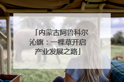 内蒙古阿鲁科尔沁旗：一棵草开启产业发展之路