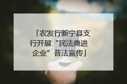 农发行新宁县支行开展“民法典进企业”普法宣传