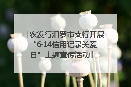 农发行汨罗市支行开展“6·14信用记录关爱日”主题宣传活动