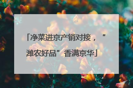 净菜进京产销对接，“潍农好品”香满京华