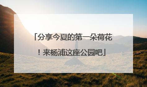 分享今夏的第一朵荷花！来杨浦这座公园吧