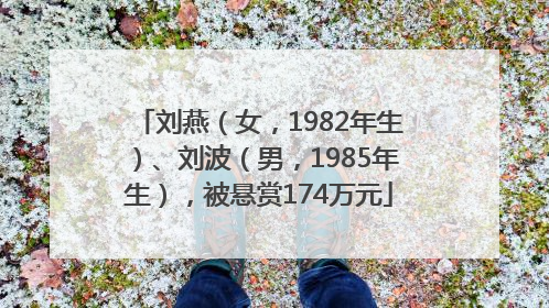 刘燕（女，1982年生）、刘波（男，1985年生），被悬赏174万元