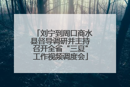 刘宁到周口商水县督导调研并主持召开全省“三夏”工作视频调度会