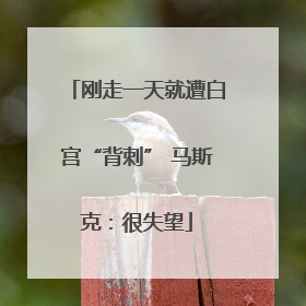 刚走一天就遭白宫“背刺” 马斯克：很失望