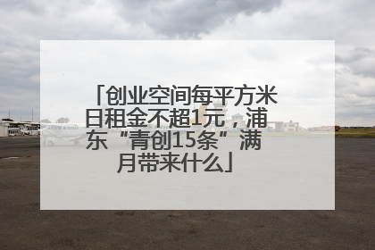创业空间每平方米日租金不超1元，浦东“青创15条”满月带来什么