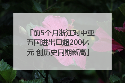 前5个月浙江对中亚五国进出口超200亿元 创历史同期新高