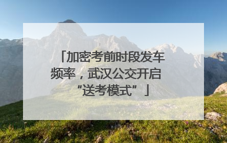 加密考前时段发车频率，武汉公交开启“送考模式”