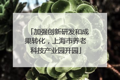 加强创新研发和成果转化，上海市养老科技产业园开园