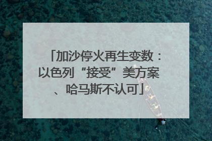 加沙停火再生变数：以色列“接受”美方案、哈马斯不认可