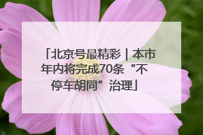 北京号最精彩｜本市年内将完成70条“不停车胡同”治理