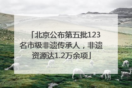 北京公布第五批123名市级非遗传承人，非遗资源达1.2万余项