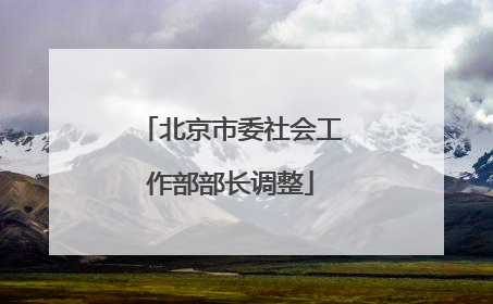北京市委社会工作部部长调整