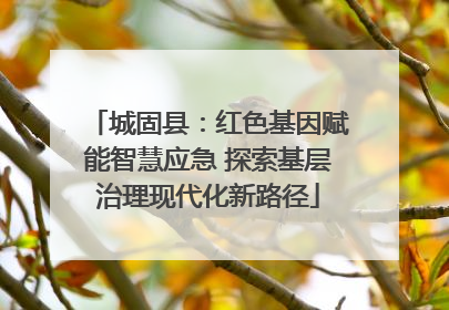 城固县：红色基因赋能智慧应急 探索基层治理现代化新路径