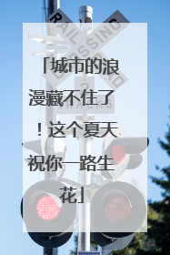 城市的浪漫藏不住了！这个夏天祝你一路生花