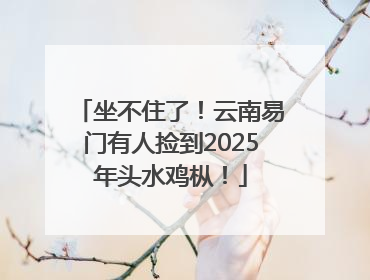 坐不住了！云南易门有人捡到2025年头水鸡枞！