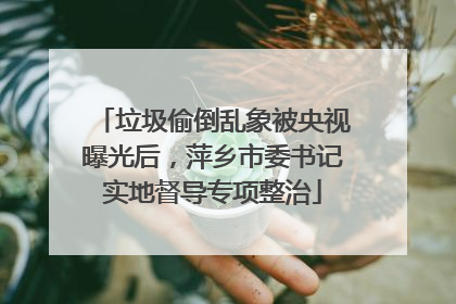 垃圾偷倒乱象被央视曝光后，萍乡市委书记实地督导专项整治