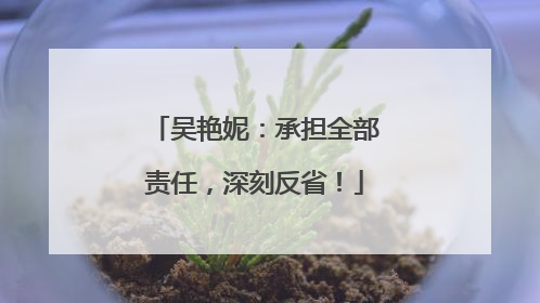 吴艳妮：承担全部责任，深刻反省！