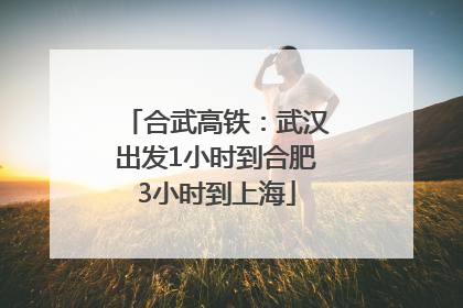 合武高铁：武汉出发1小时到合肥3小时到上海
