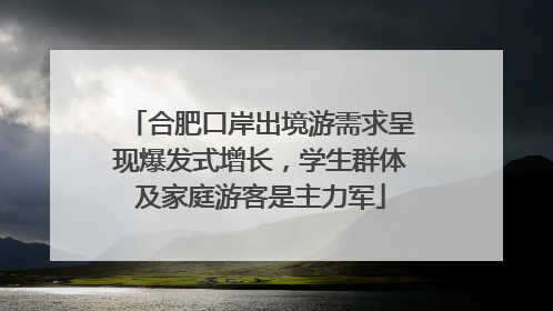 合肥口岸出境游需求呈现爆发式增长，学生群体及家庭游客是主力军