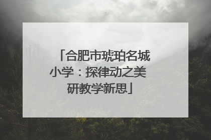 合肥市琥珀名城小学：探律动之美 研教学新思
