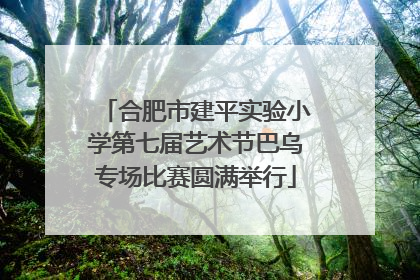 合肥市建平实验小学第七届艺术节巴乌专场比赛圆满举行