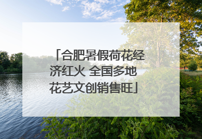 合肥暑假荷花经济红火 全国多地花艺文创销售旺