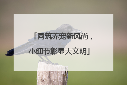 同筑养宠新风尚，小细节彰显大文明