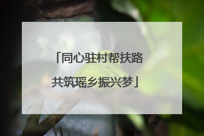 同心驻村帮扶路 共筑瑶乡振兴梦