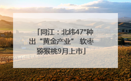 同江：北纬47°种出“黄金产业” 软枣猕猴桃9月上市