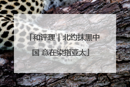 和评理｜北约抹黑中国 意在染指亚太