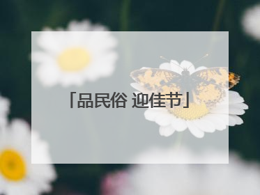 品民俗 迎佳节