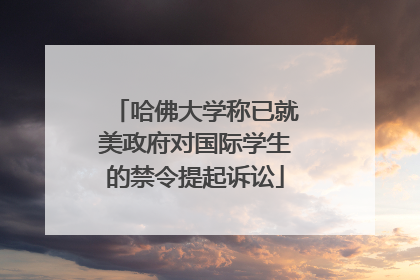哈佛大学称已就美政府对国际学生的禁令提起诉讼