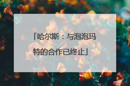 哈尔斯：与泡泡玛特的合作已终止