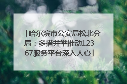 哈尔滨市公安局松北分局：多措并举推动12367服务平台深入人心