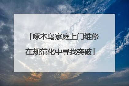 啄木鸟家庭上门维修在规范化中寻找突破
