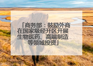 商务部：鼓励外商在国家级经开区开展生物医药、高端制造等领域投资