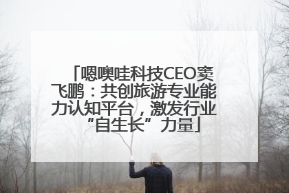嗯噢哇科技CEO窦飞鹏：共创旅游专业能力认知平台，激发行业“自生长”力量