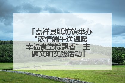 嘉祥县纸坊镇举办“浓情端午送温暖 幸福食堂粽飘香”主题文明实践活动