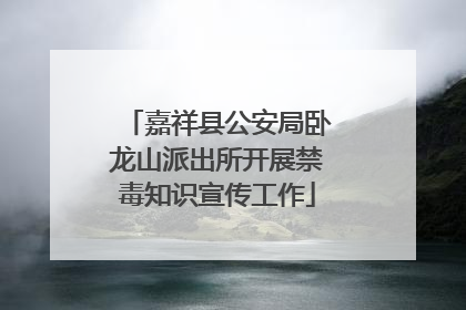 嘉祥县公安局卧龙山派出所开展禁毒知识宣传工作