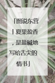 图说东营丨夏果盈香，是盐碱地写给舌尖的情书