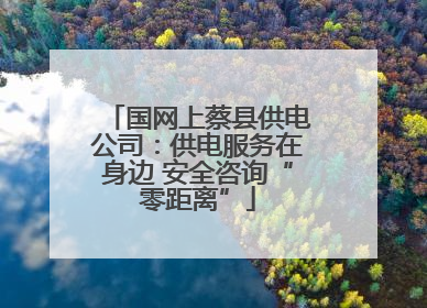 国网上蔡县供电公司：供电服务在身边 安全咨询“零距离”