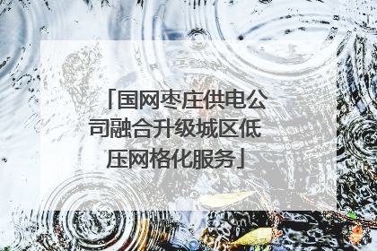 国网枣庄供电公司融合升级城区低压网格化服务