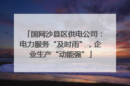 国网沙县区供电公司：电力服务“及时雨”，企业生产“动能强”