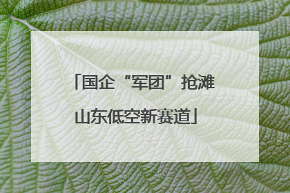 国企“军团”抢滩山东低空新赛道