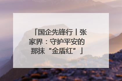 国企先锋行丨张家界：守护平安的那抹“金盾红”