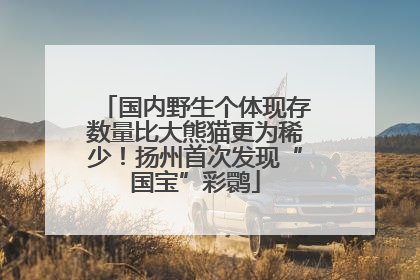 国内野生个体现存数量比大熊猫更为稀少！扬州首次发现“国宝”彩鹮