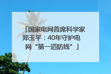 国家电网首席科学家郑玉平：40年守护电网“第一道防线”