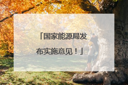 国家能源局发布实施意见！