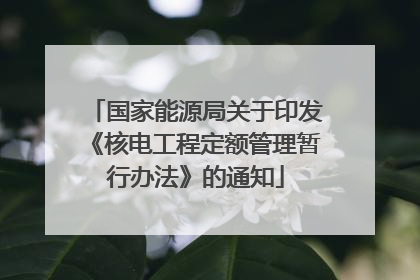 国家能源局关于印发《核电工程定额管理暂行办法》的通知